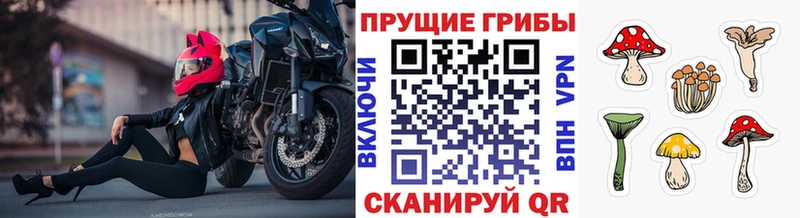 что такое наркотик  Оренбург  Псилоцибиновые грибы Psilocybine cubensis 