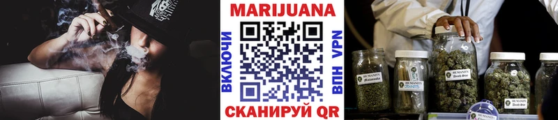 Марихуана сатива Оренбург